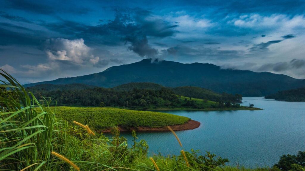 luxury resorts in Wayanad