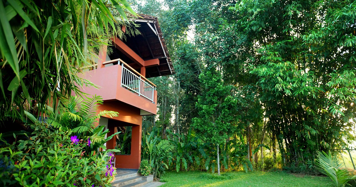 Luxury Resorts in Wayanad